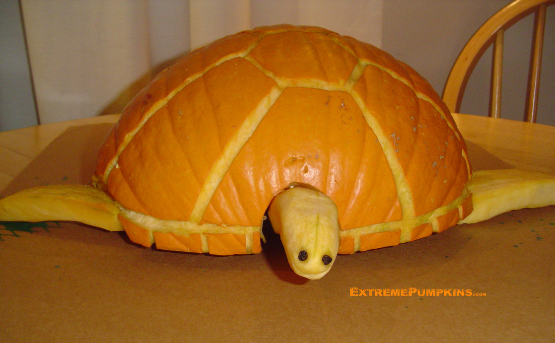 The Sea Turtle Pumpkin tmnt-teenage-mutant-ninja-turtle-pumpkin-stencil-allthingshallows