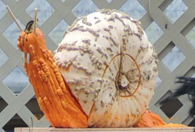 The Vampire Snail Pumpkin
