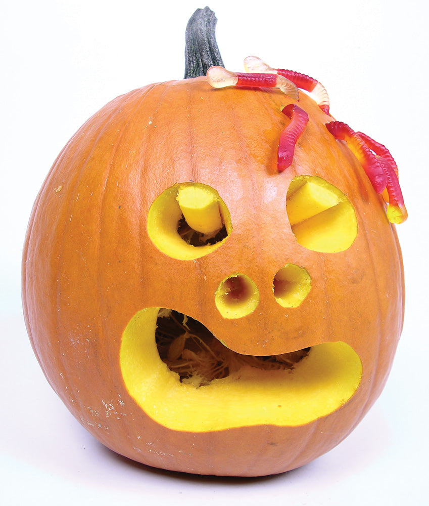 The Worm Infested Pumpkin