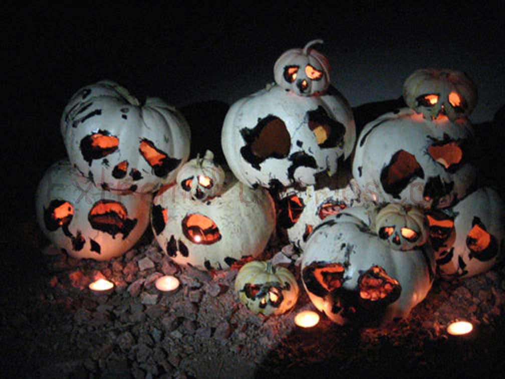 This is What Ghost Pumpkins Should Look Like