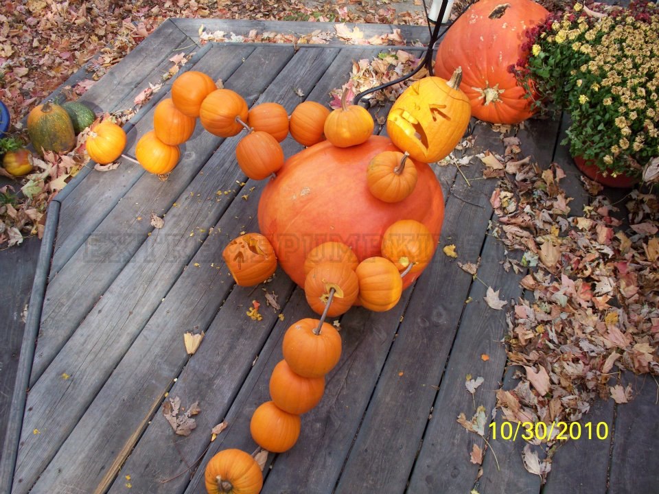 This Pumpkin Is Giving Birth
