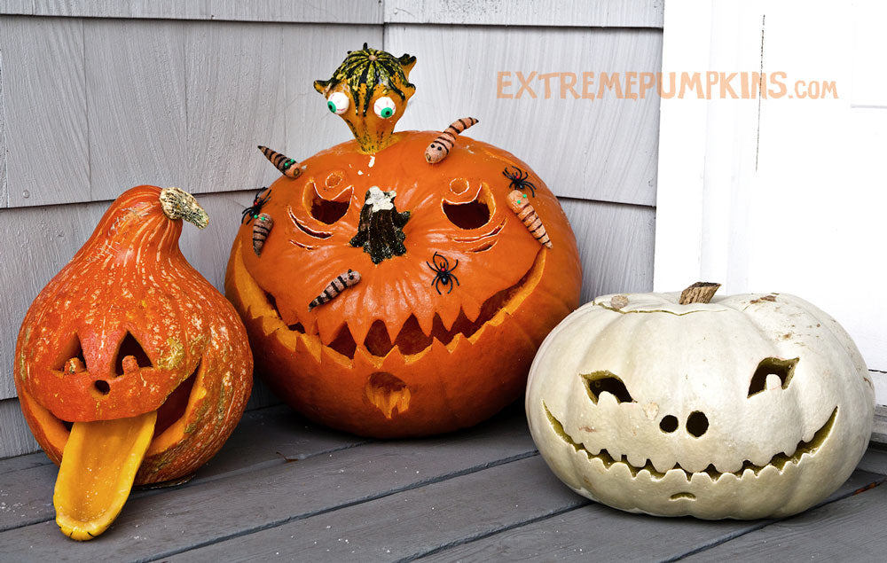 Three Cool Pumpkins With Accessories